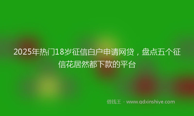 2025年热门18岁征信白户申请网贷，盘点五个征信花居然都下款的平台