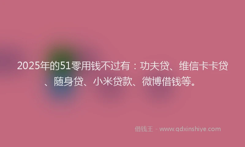 2025年的51零用钱不过有：功夫贷、维信卡卡贷、随身贷、小米贷款、微博借钱等。