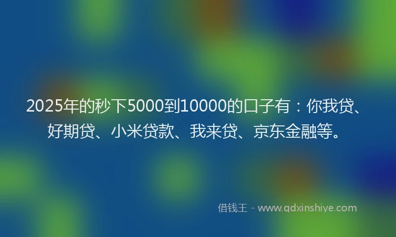 2025年的秒下5000到10000的口子有：你我贷、好期贷、小米贷款、我来贷、京东金融等。