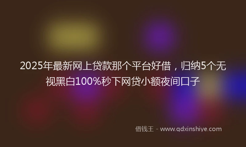 2025年最新网上贷款那个平台好借，归纳5个无视黑白100%秒下网贷小额夜间口子