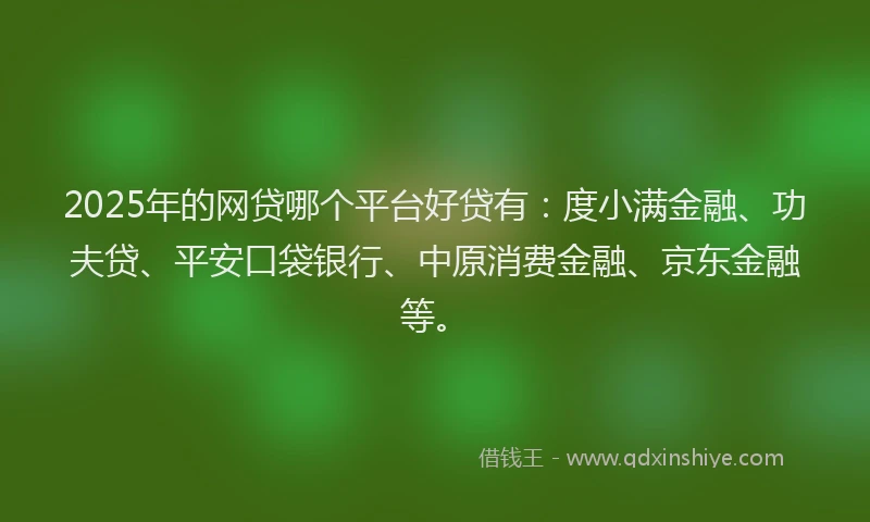 2025年的网贷哪个平台好贷有：度小满金融、功夫贷、平安口袋银行、中原消费金融、京东金融等。