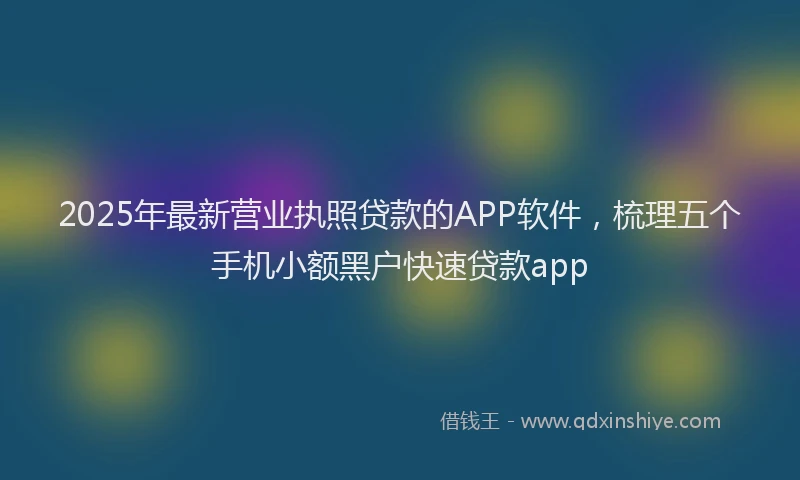 2025年最新营业执照贷款的APP软件，梳理五个手机小额黑户快速贷款app