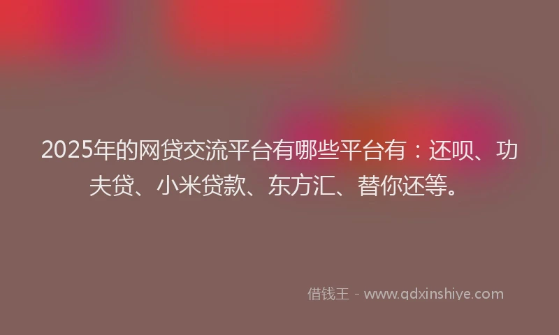 2025年的网贷交流平台有哪些平台有：还呗、功夫贷、小米贷款、东方汇、替你还等。