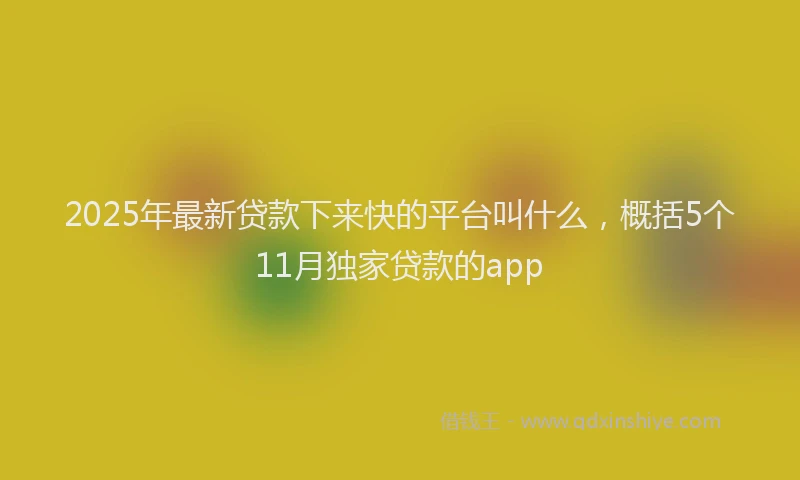 2025年最新贷款下来快的平台叫什么，概括5个11月独家贷款的app