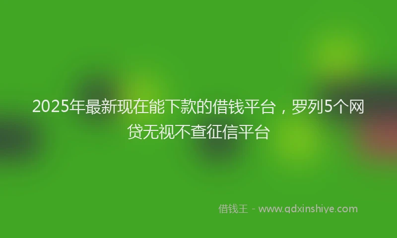 2025年最新现在能下款的借钱平台，罗列5个网贷无视不查征信平台