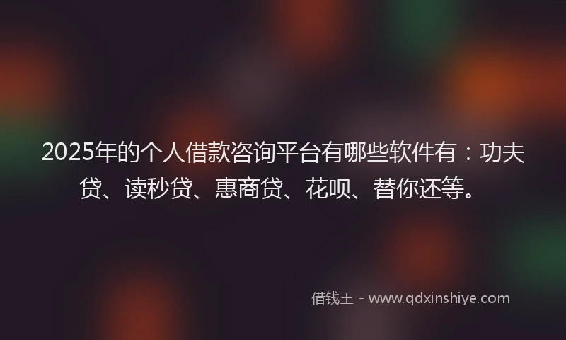 2025年的个人借款咨询平台有哪些软件有：功夫贷、读秒贷、惠商贷、花呗、替你还等。