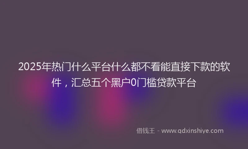 2025年热门什么平台什么都不看能直接下款的软件，汇总五个黑户0门槛贷款平台