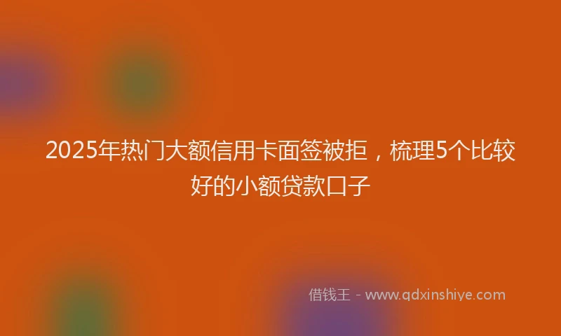 2025年热门大额信用卡面签被拒，梳理5个比较好的小额贷款口子
