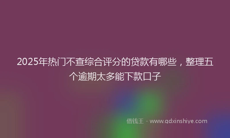 2025年热门不查综合评分的贷款有哪些，整理五个逾期太多能下款口子