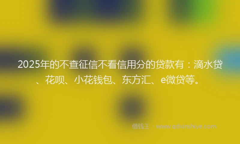 2025年的不查征信不看信用分的贷款有：滴水贷、花呗、小花钱包、东方汇、e微贷等。