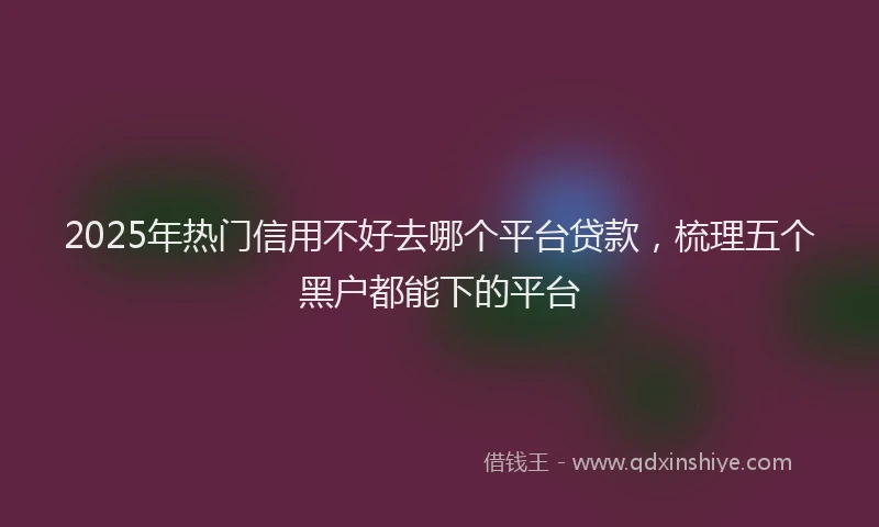 2025年热门信用不好去哪个平台贷款，梳理五个黑户都能下的平台
