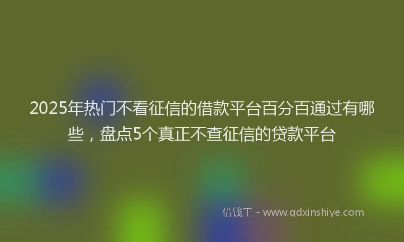 2025年热门不看征信的借款平台百分百通过有哪些，盘点5个真正不查征信的贷款平台