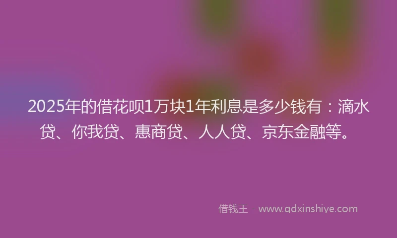 2025年的借花呗1万块1年利息是多少钱有：滴水贷、你我贷、惠商贷、人人贷、京东金融等。