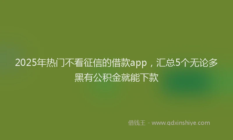 2025年热门不看征信的借款app，汇总5个无论多黑有公积金就能下款