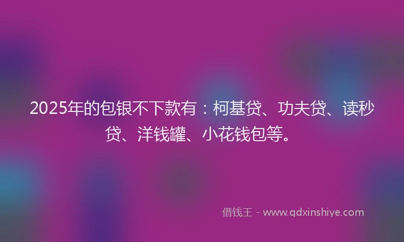 2025年的包银不下款有：柯基贷、功夫贷、读秒贷、洋钱罐、小花钱包等。
