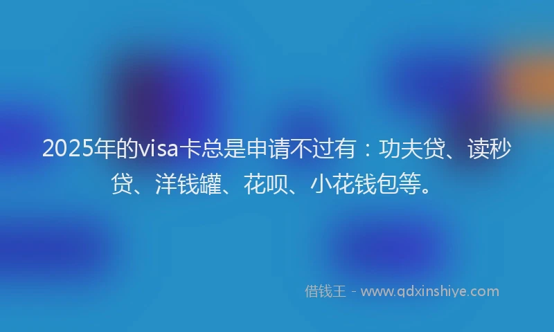 2025年的visa卡总是申请不过有：功夫贷、读秒贷、洋钱罐、花呗、小花钱包等。