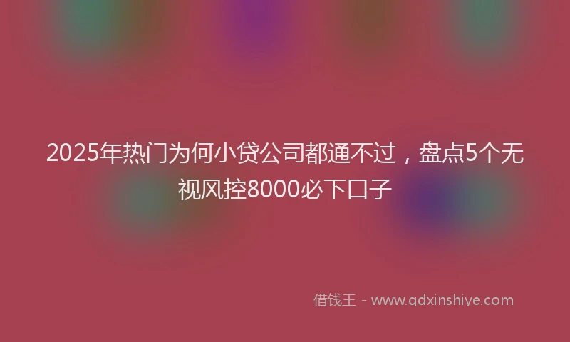 2025年热门为何小贷公司都通不过，盘点5个无视风控8000必下口子