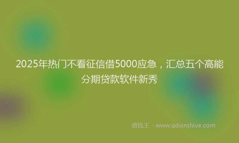 2025年热门不看征信借5000应急，汇总五个高能分期贷款软件新秀