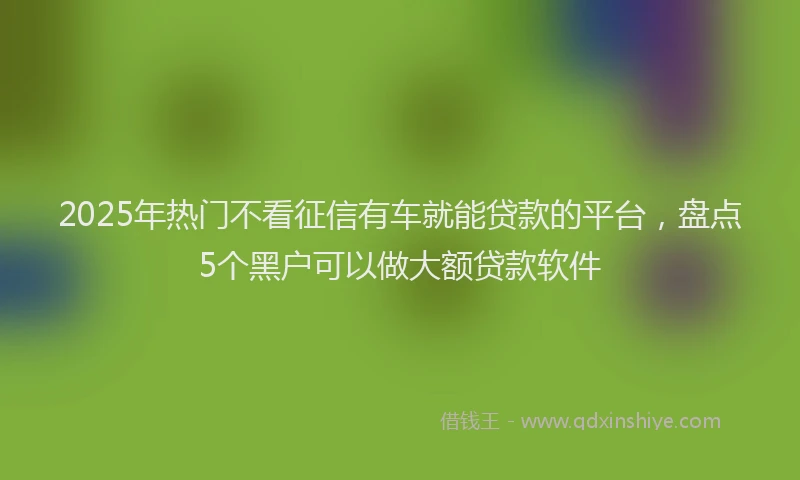 2025年热门不看征信有车就能贷款的平台，盘点5个黑户可以做大额贷款软件