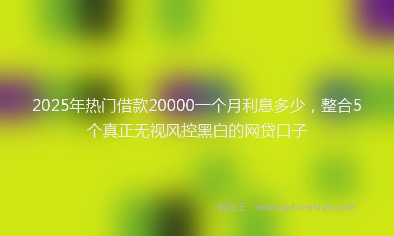 2025年热门借款20000一个月利息多少，整合5个真正无视风控黑白的网贷口子