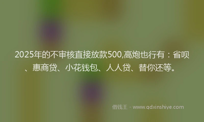 2025年的不审核直接放款500,高炮也行有：省呗、惠商贷、小花钱包、人人贷、替你还等。
