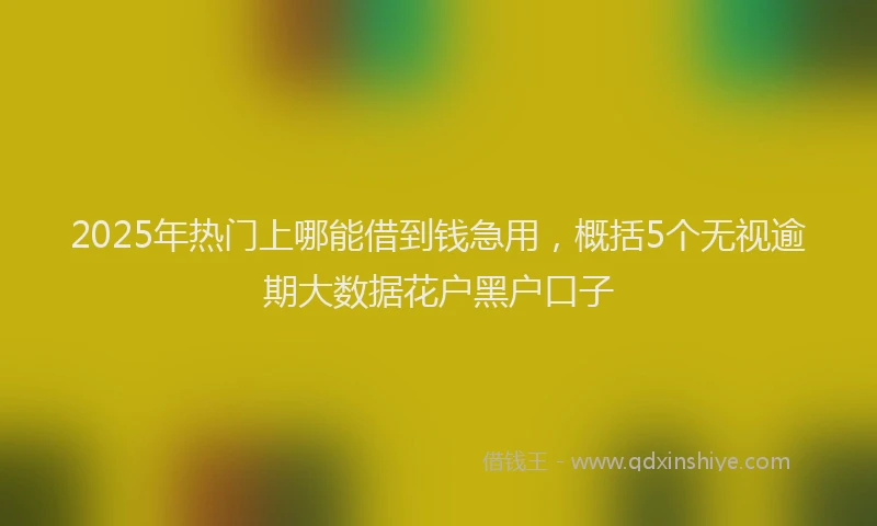 2025年热门上哪能借到钱急用，概括5个无视逾期大数据花户黑户口子