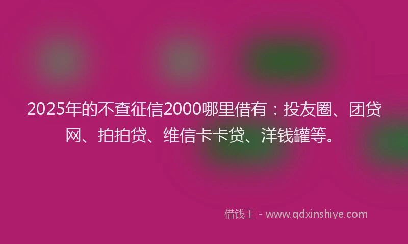 2025年的不查征信2000哪里借有：投友圈、团贷网、拍拍贷、维信卡卡贷、洋钱罐等。
