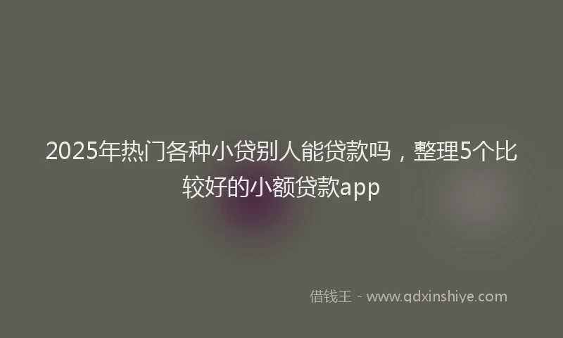2025年热门各种小贷别人能贷款吗，整理5个比较好的小额贷款app