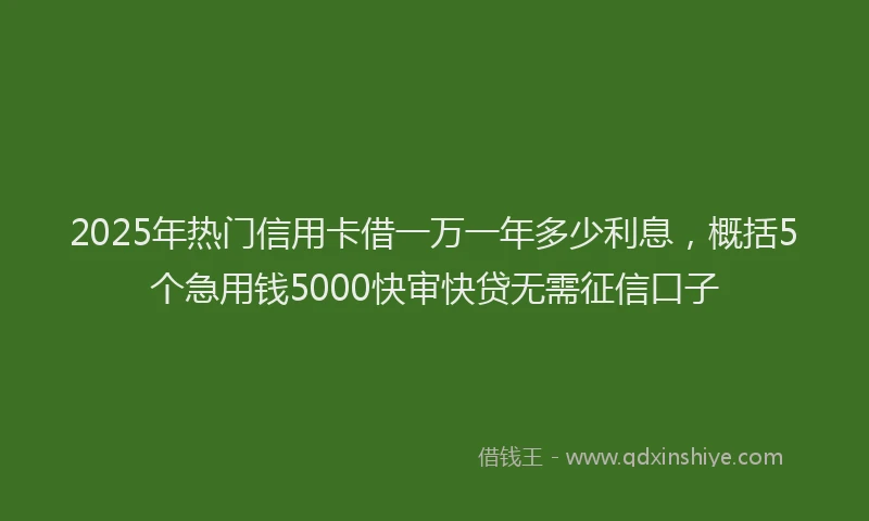 2025年热门信用卡借一万一年多少利息，概括5个急用钱5000快审快贷无需征信口子