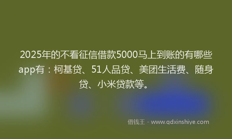 2025年的不看征信借款5000马上到账的有哪些app有：柯基贷、51人品贷、美团生活费、随身贷、小米贷款等。