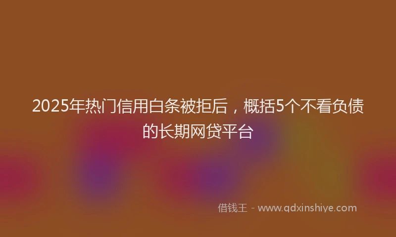 2025年热门信用白条被拒后，概括5个不看负债的长期网贷平台
