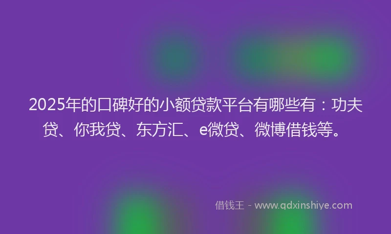 2025年的口碑好的小额贷款平台有哪些有：功夫贷、你我贷、东方汇、e微贷、微博借钱等。