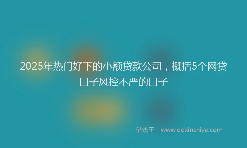 2025年热门好下的小额贷款公司，概括5个网贷口子风控不严的口子