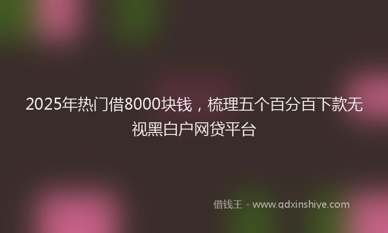 2025年热门借8000块钱，梳理五个百分百下款无视黑白户网贷平台