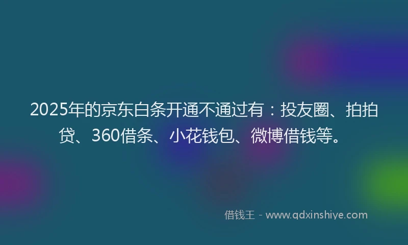 2025年的京东白条开通不通过有：投友圈、拍拍贷、360借条、小花钱包、微博借钱等。