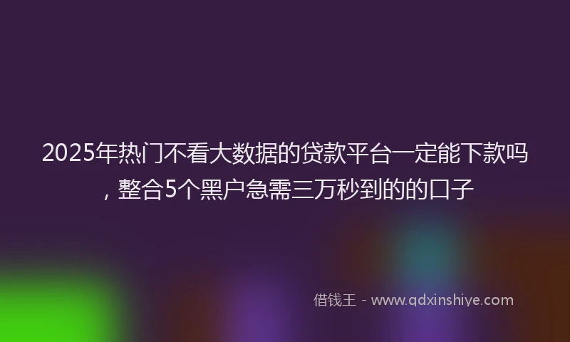2025年热门不看大数据的贷款平台一定能下款吗，整合5个黑户急需三万秒到的的口子