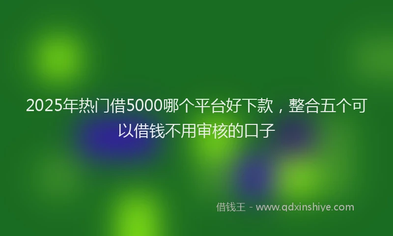 2025年热门借5000哪个平台好下款，整合五个可以借钱不用审核的口子