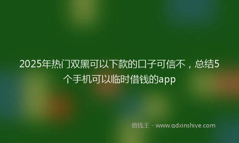2025年热门双黑可以下款的口子可信不，总结5个手机可以临时借钱的app