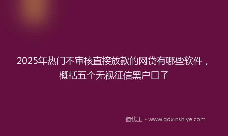 2025年热门不审核直接放款的网贷有哪些软件，概括五个无视征信黑户口子