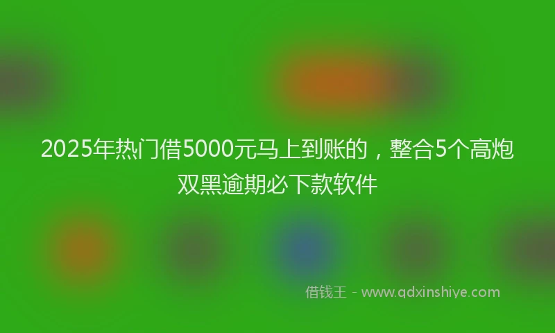 2025年热门借5000元马上到账的，整合5个高炮双黑逾期必下款软件