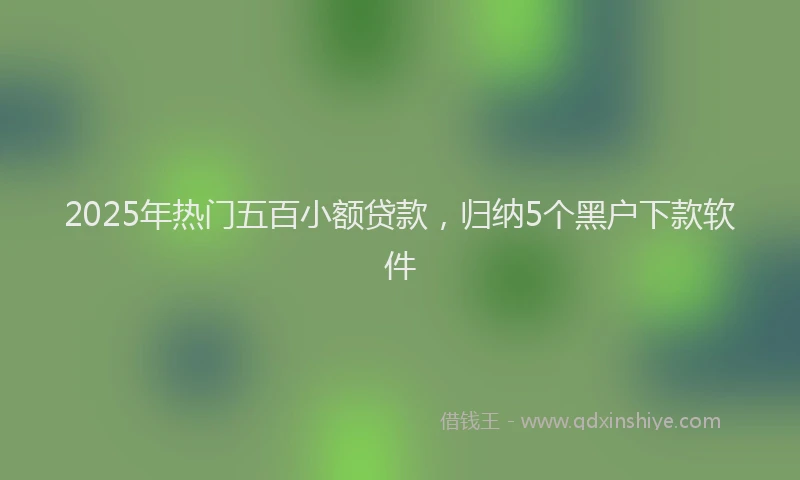 2025年热门五百小额贷款，归纳5个黑户下款软件