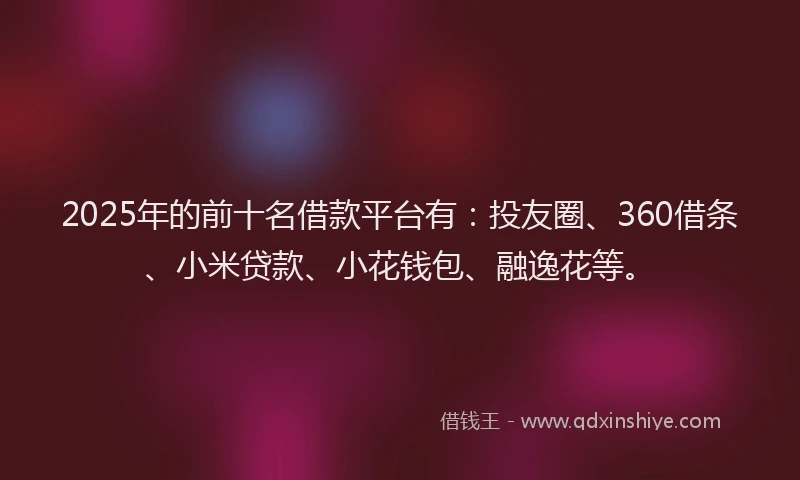 2025年的前十名借款平台有：投友圈、360借条、小米贷款、小花钱包、融逸花等。