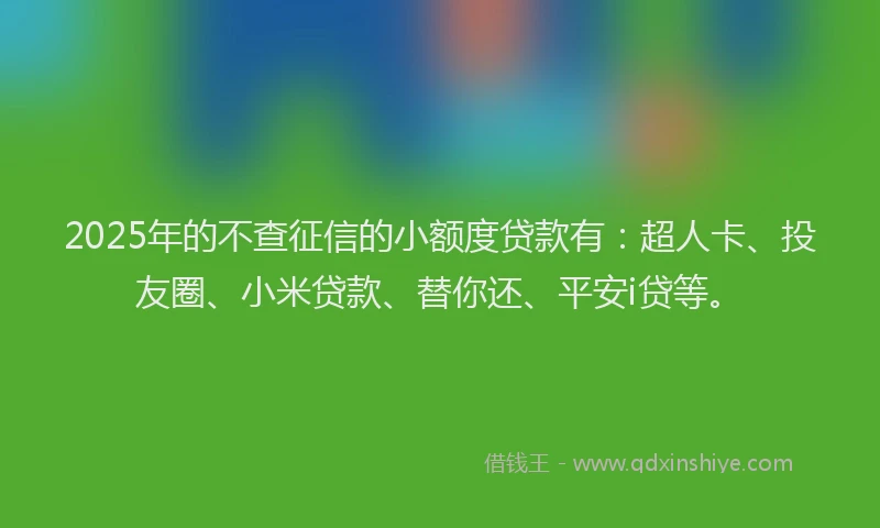 2025年的不查征信的小额度贷款有：超人卡、投友圈、小米贷款、替你还、平安i贷等。