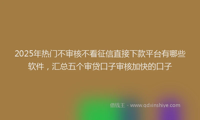2025年热门不审核不看征信直接下款平台有哪些软件，汇总五个审贷口子审核加快的口子