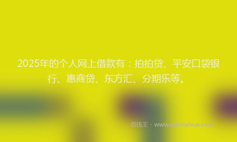 2025年的个人网上借款有：拍拍贷、平安口袋银行、惠商贷、东方汇、分期乐等。