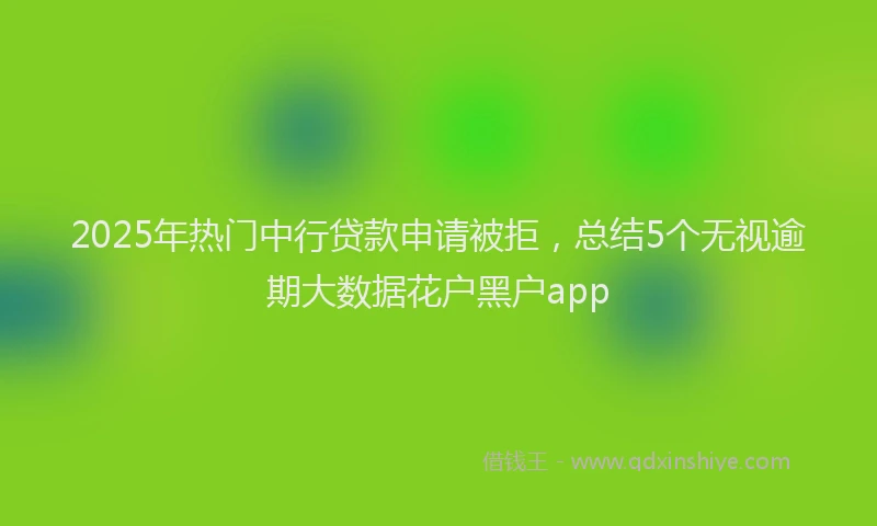 2025年热门中行贷款申请被拒，总结5个无视逾期大数据花户黑户app