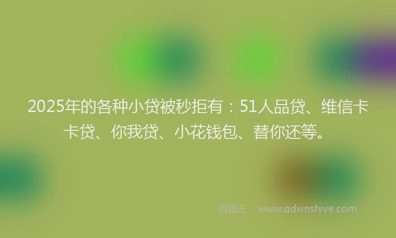 2025年的各种小贷被秒拒有：51人品贷、维信卡卡贷、你我贷、小花钱包、替你还等。