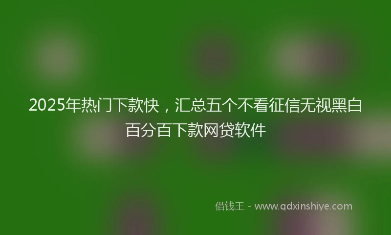 2025年热门下款快，汇总五个不看征信无视黑白百分百下款网贷软件