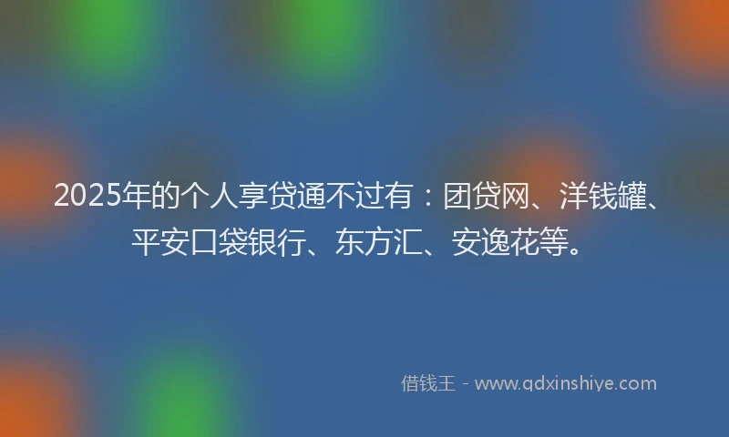 2025年的个人享贷通不过有：团贷网、洋钱罐、平安口袋银行、东方汇、安逸花等。