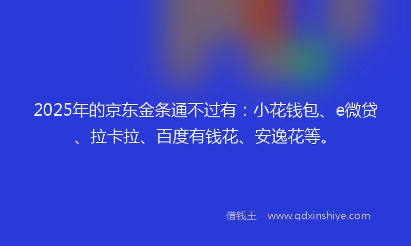 2025年的京东金条通不过有：小花钱包、e微贷、拉卡拉、百度有钱花、安逸花等。
